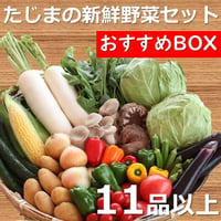 【農家応援】たじまの新鮮野菜セット（おすすめBOX）　新鮮野菜11品以上　※送料無料（北海道・沖縄・離島を除く）