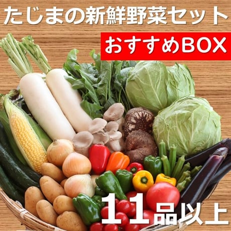 【農家応援】たじまの新鮮野菜セット（おすすめBOX）　新鮮野菜11品以上　※送料無料（北海道・沖縄・離島を除く）