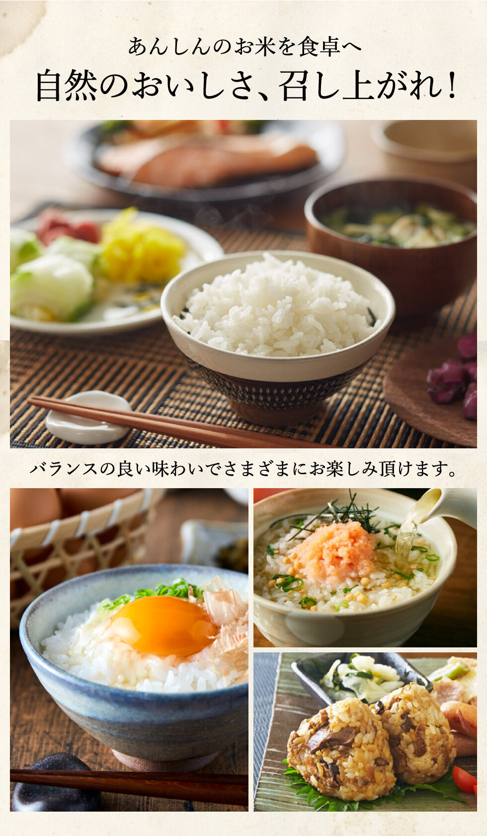 令和4年産】特別栽培米 コウノトリ育むお米（減農薬）白米 10kg 5kg×2