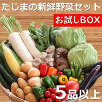 【農家応援】たじまの新鮮野菜セット（お試しBOX）　新鮮野菜5品以上　※送料無料（北海道・沖縄・離島を除く）