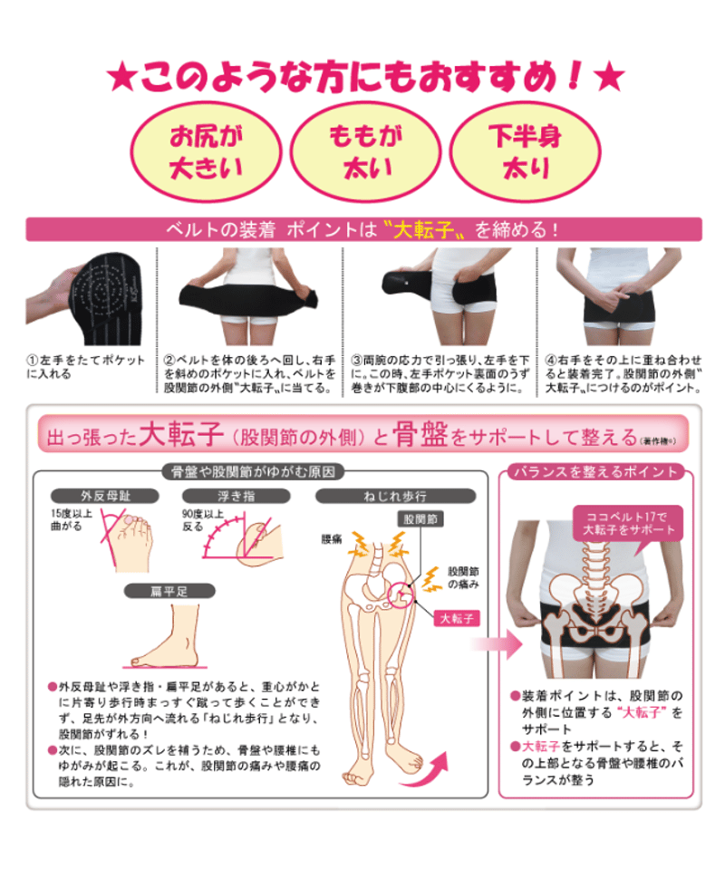 固定力ベルト17（17cm幅） | Abundance