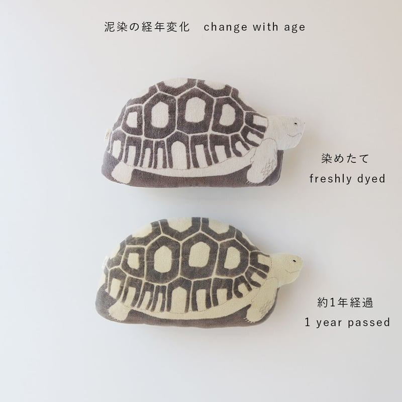 カメのクッション Turtle Cushion | Tomotake Online Store