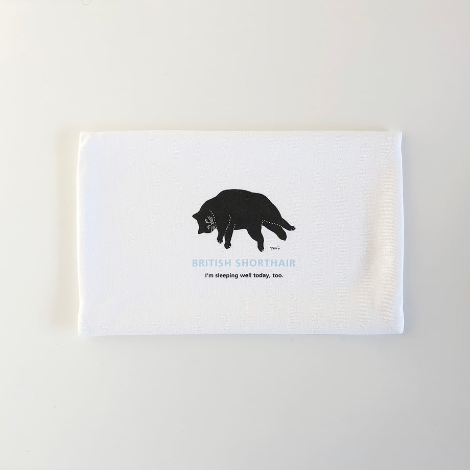 68cf4f9a01165de4e80dd0ee