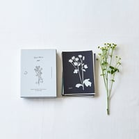 ポストカードセット　「Garden」布の切り絵　24枚セット　箱入り