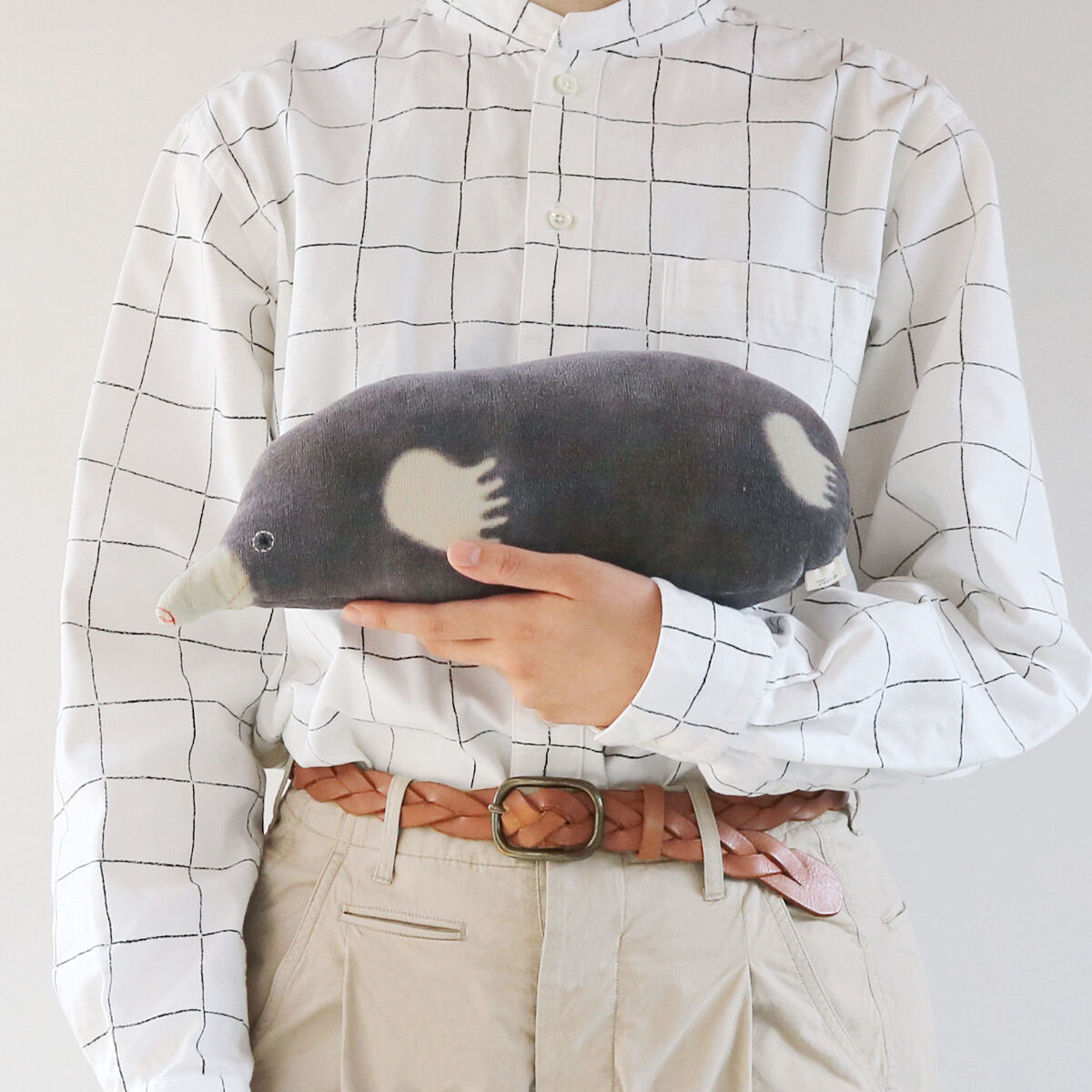 モグラのクッション Mole Cushion | Tomotake Online Store