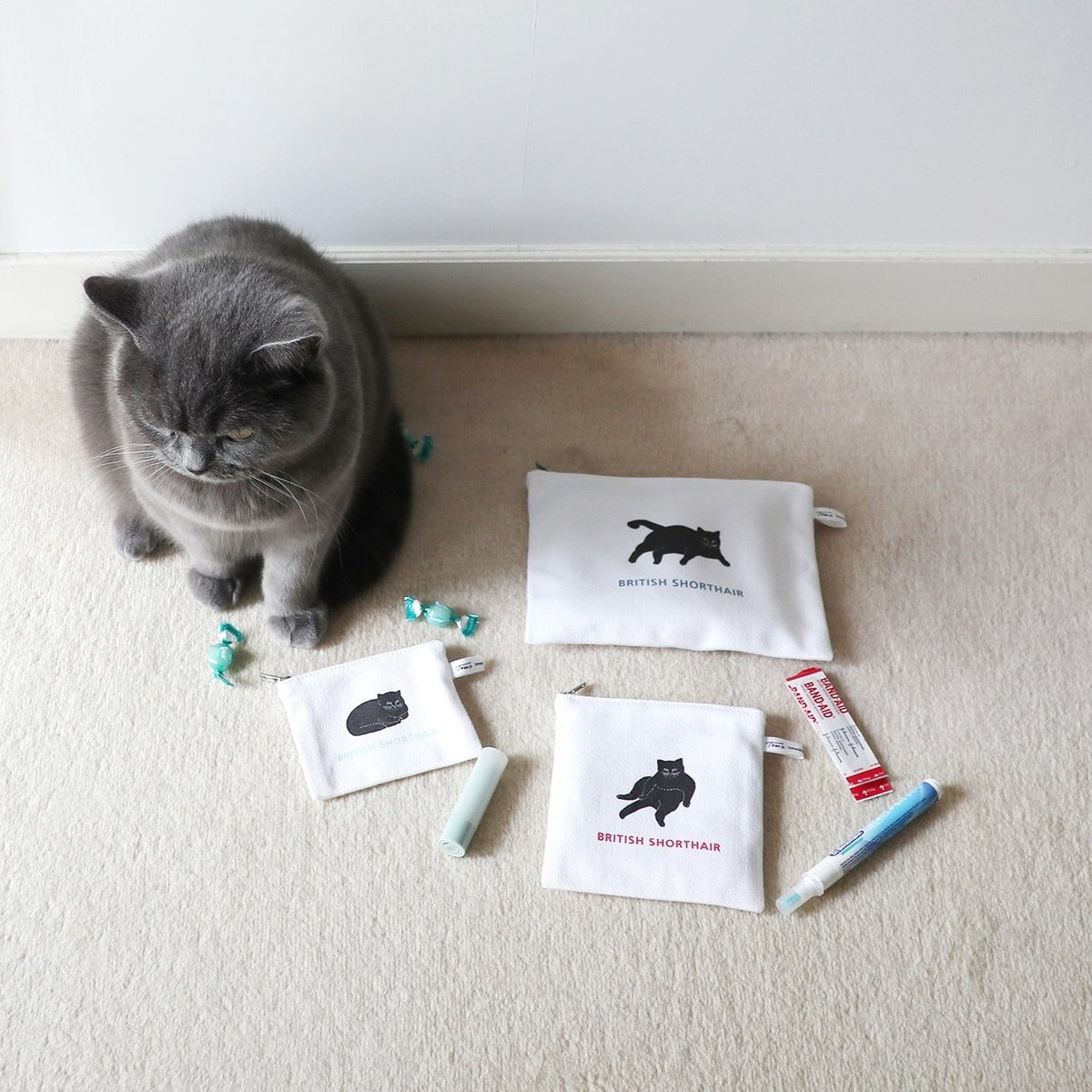 BSH POUCH size S - FANTASTIC CATS SERIES- | To