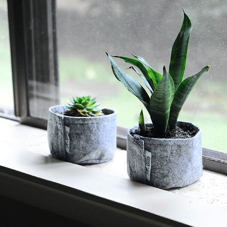 ルーツポーチ　植木鉢    joey