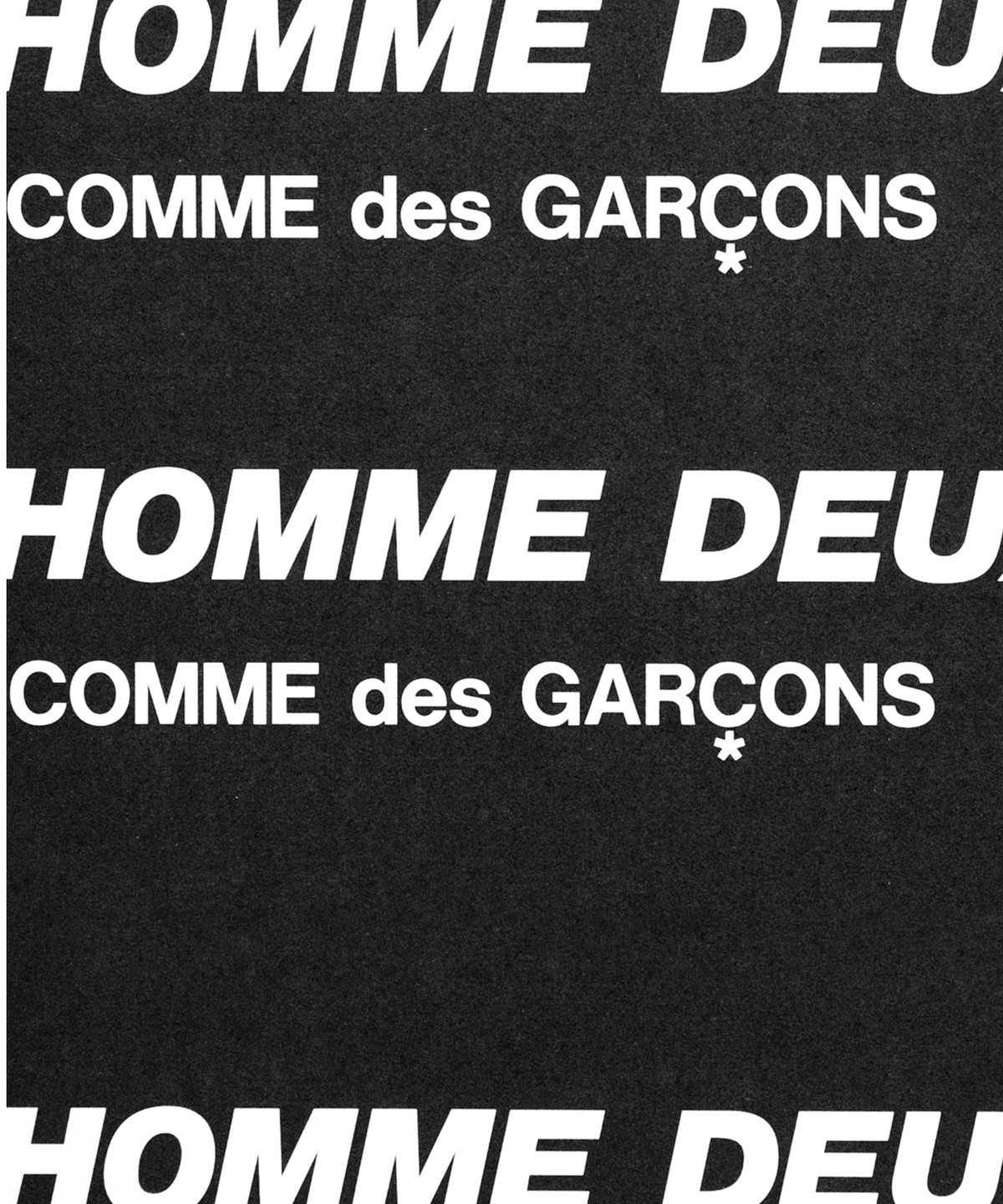 COMME des GARÇONS HOMME DEUX _ Fake Fur Vest |
