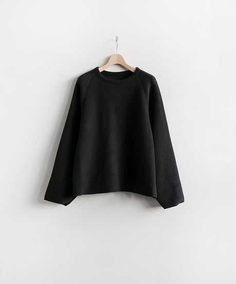 SEEALL . Edition 13 _ GULLIVER SWEAT