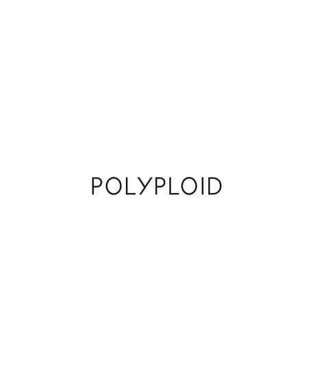POLYPLOID _ UTILITY POCKET B
