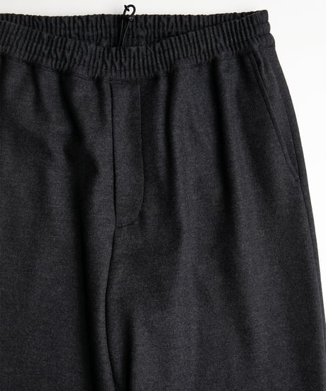 Graphpaper _ Wool Smooth Flannel Easy Wide Pants ( Gray )