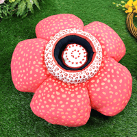 ラフレシア　クッション　巨大 fit=cover,w=200,h=200