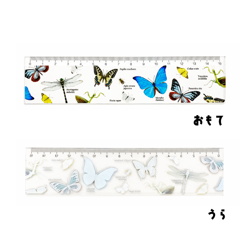日本製 アクリル定規【 昆虫 / 蝶 】 | CHICO's STORE