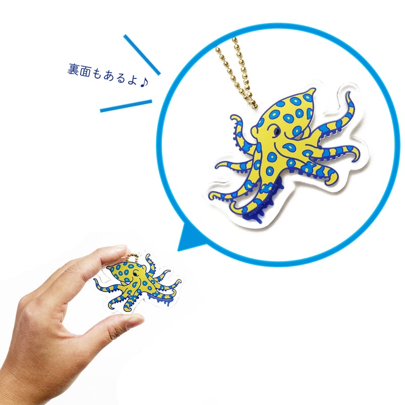 アクリル キーホルダー 【有毒生物】 | CHICO's STORE