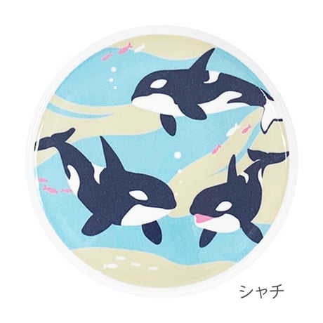 ボウル 【 sea of wonder 】シーオブワンダー