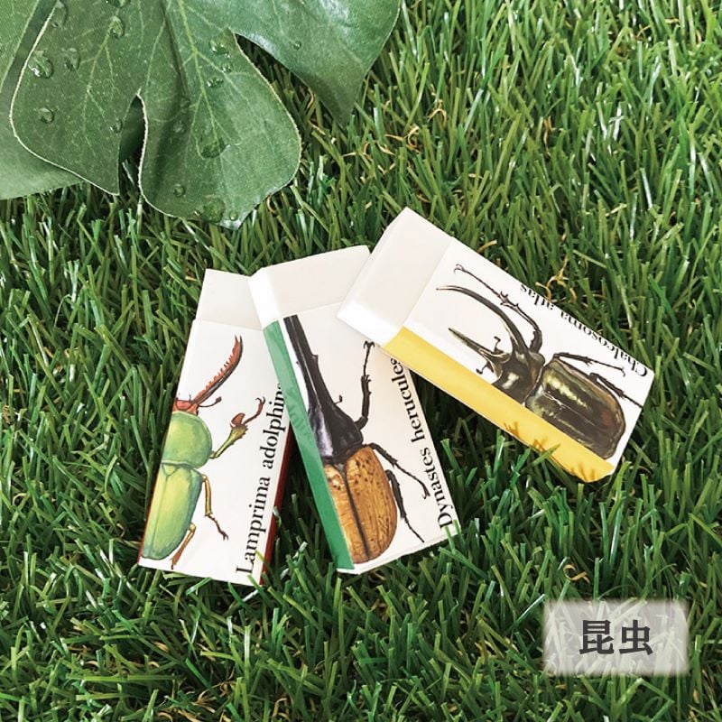 消しゴム 3点 【 昆虫 / 蝶 】 | CHICO's STORE