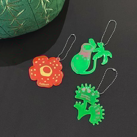 ラフレシア | STORES