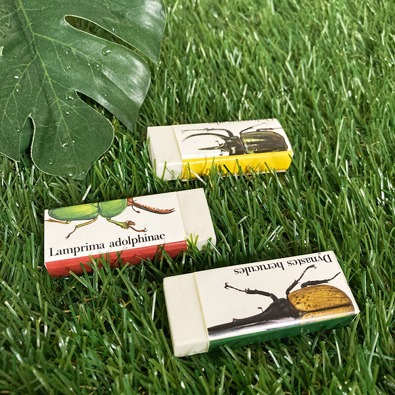 消しゴ虫　です 消しゴ虫 です シークレット消しゴム 昆虫ずかん ｜ ミスター