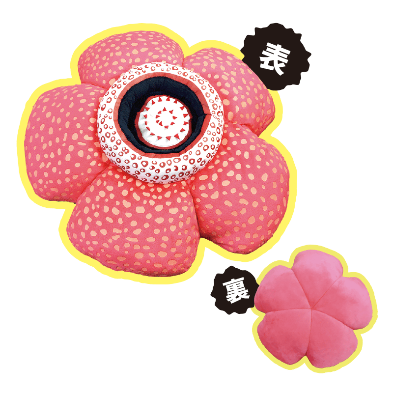 ラフレシア クッション | CHICO's STORE