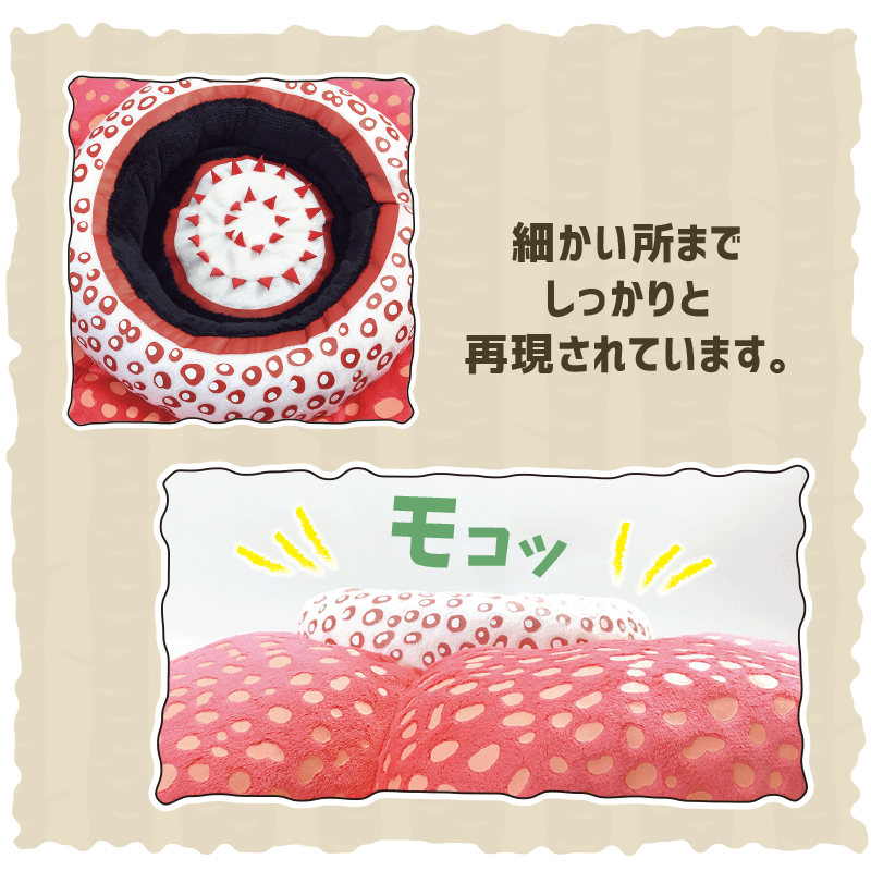 ラフレシア クッション ( 大 ) | CHICO's STORE ラフレシア クッション ( 大 ) | CHICO's STORE