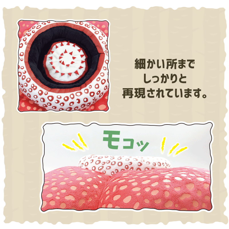 ラフレシア クッション | CHICO's STORE