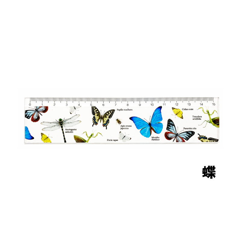 日本製 アクリル定規【 昆虫 / 蝶 】 | CHICO's STORE