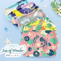 トレー【 sea of wonder 】シーオブワンダー