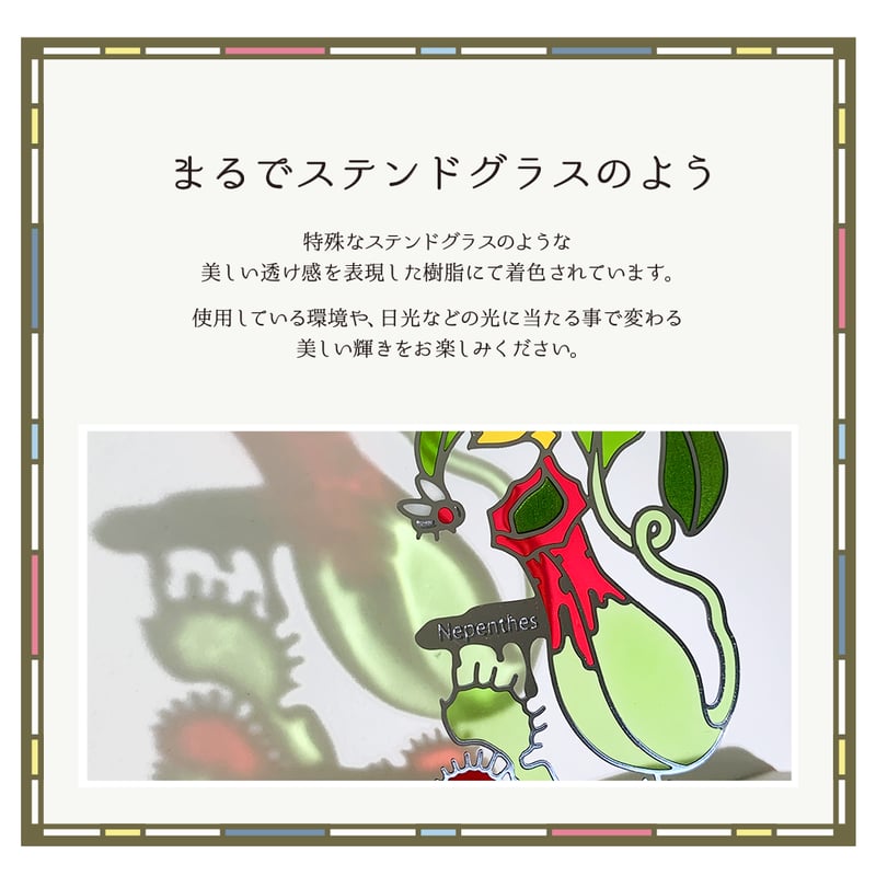 ブックマーカー 【 食虫植物 】（ダイカット） | CHICO's STORE
