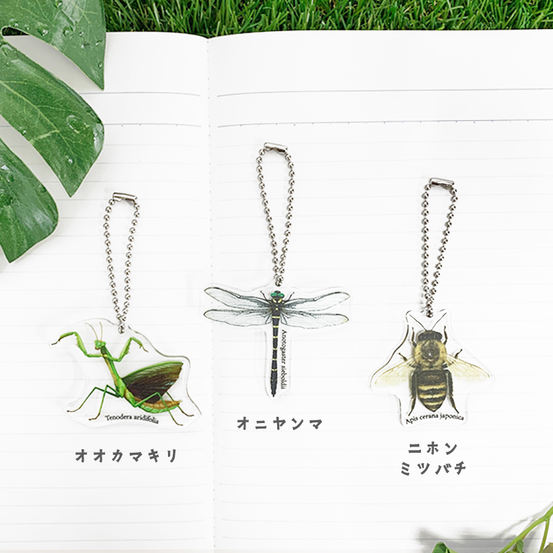 アクリル キーホルダー 【 昆虫 / 蝶 】 | CHICO's STORE