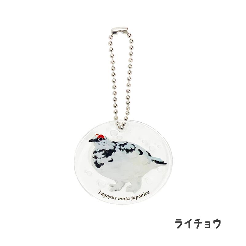 X　プライズ限定　アクキー　桃生小鳥 カモノハシのイコちゃん×鳥獣戯画 アクリルキーホルダーB(B): 鉄道