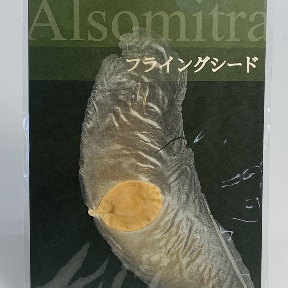 5f3a2410d3f1677781b3f74d