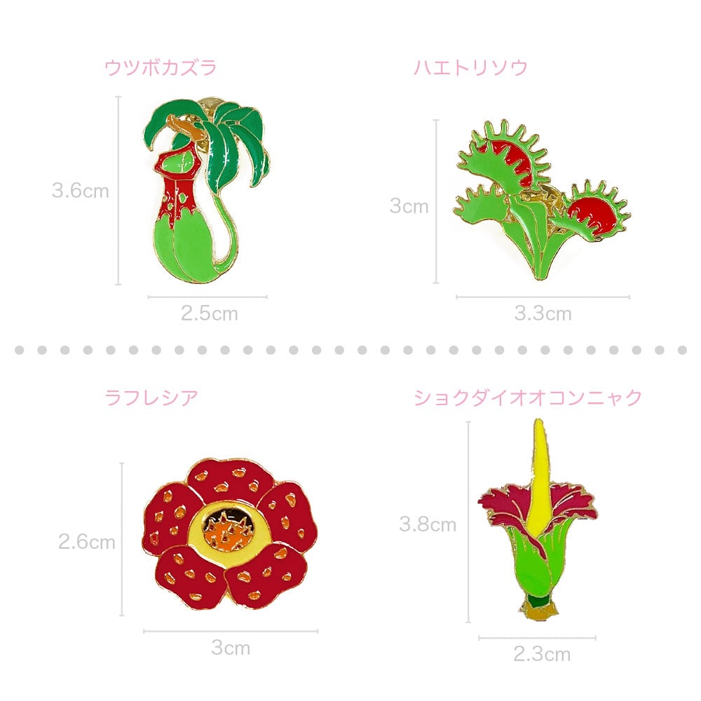 日本館限定 ピンバッジ コナミドリムシ クラミドモナス ウチワヒゲムシ
