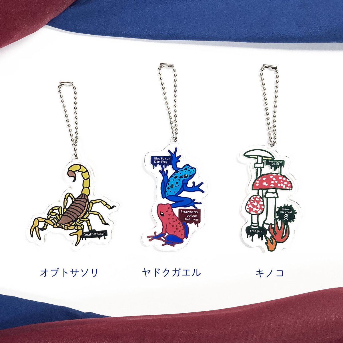 アクリル キーホルダー 【有毒生物】 | CHICO's STORE