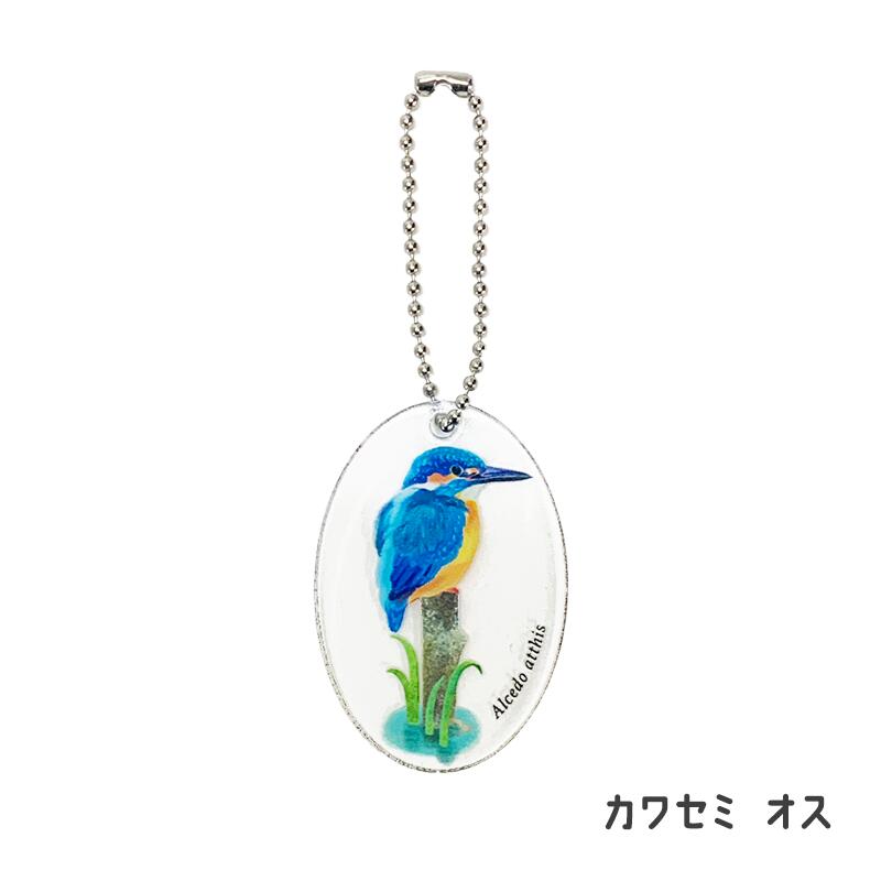 アクリルキーホルダー 【 鳥 】 | CHICO's STORE