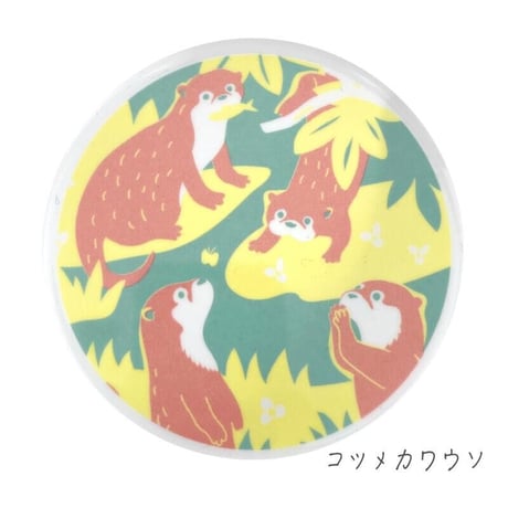 ボウル 【 sea of wonder 】シーオブワンダー