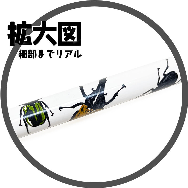 鉛筆3本【 昆虫 / 蝶 】 | CHICO's STORE