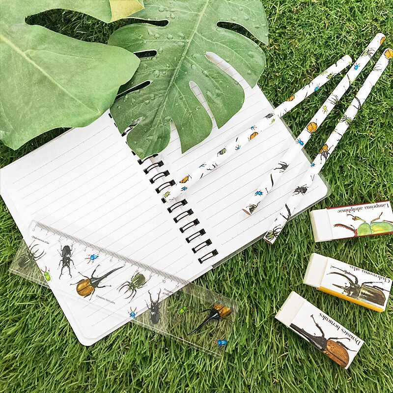 鉛筆3本【 昆虫 / 蝶 】 | CHICO's STORE