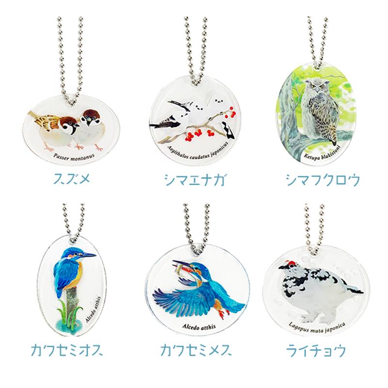 アクリルキーホルダー 【 鳥 】 | CHICO's STORE