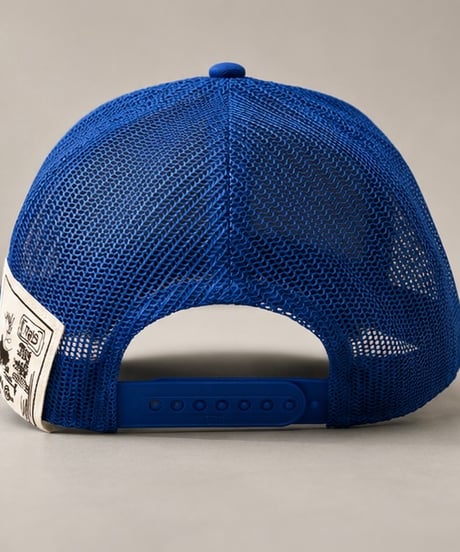 MESH CAP BLUE