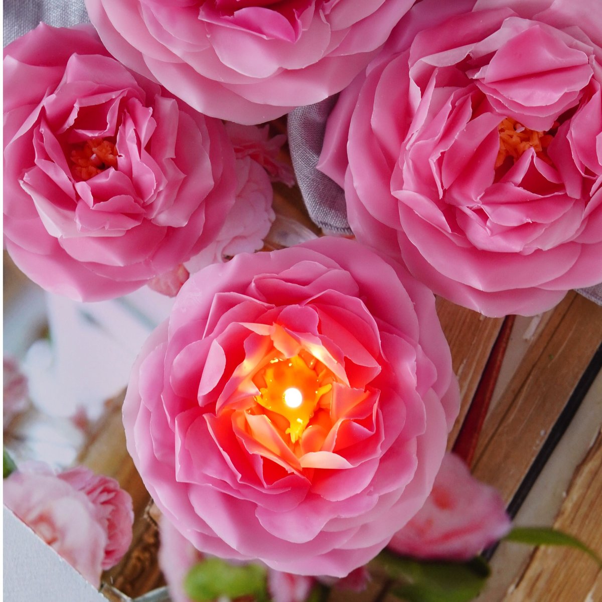 バラ》貴婦人の様な華麗な咲き姿 ローズポンパドール | ミラベル