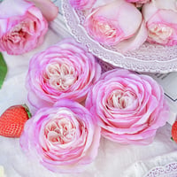 《バラ》可愛らしさに思わずにっこり！ストロベリーラテ🍓