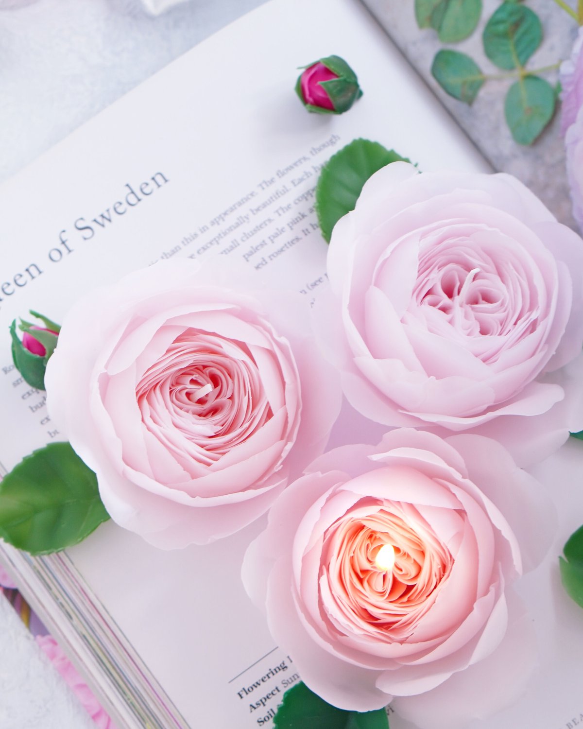 ピンクの薔薇のオルゴナイト♡ 楽天市場】オルゴナイト バラ型 (縦長/ピンク) 薔薇 パワーストーン