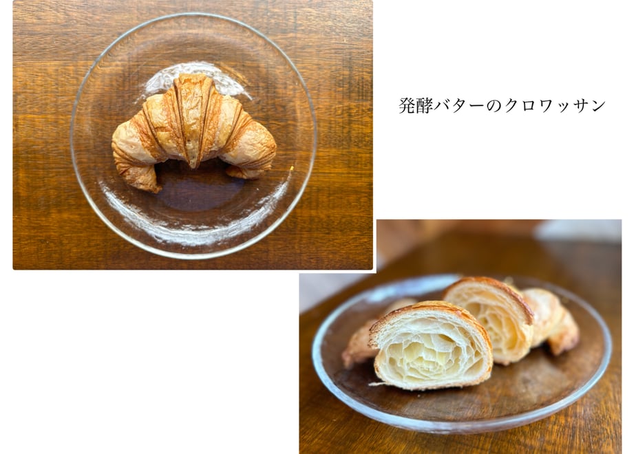 672232a37041a10f69aac402