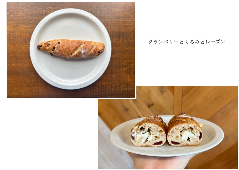 672232a37041a10f69aac402