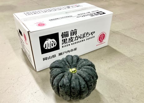 CATEGORY 備前黒皮かぼちゃ | 日本一のだがし売場