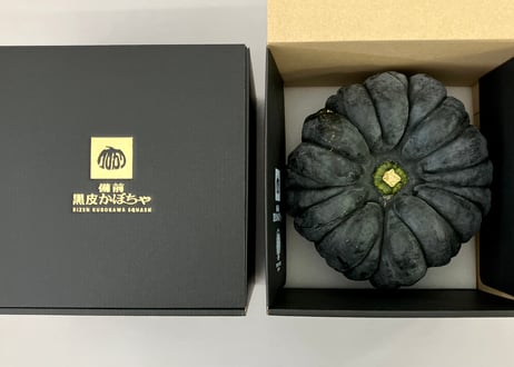 CATEGORY 備前黒皮かぼちゃ | 日本一のだがし売場