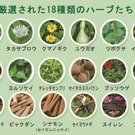 NEW！アユールマスター スカルプメディウム
