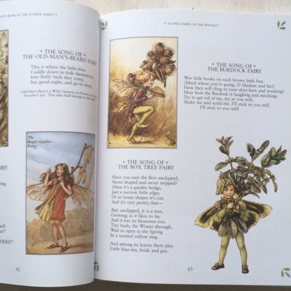 THe COMPLETE BOOK of the FLOWER FAIRIES | ミスアレン