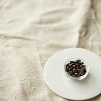 グアテマラ・フライハーネス・深煎り・100g