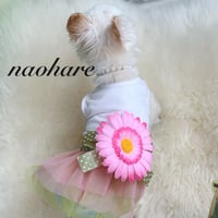 新作　ペット服　Mサイズ　犬服　猫服　ワンピース　夏服　チュールスカート　お花ブローチ　リボン　ペットウェア　可愛い　夏ワンピース